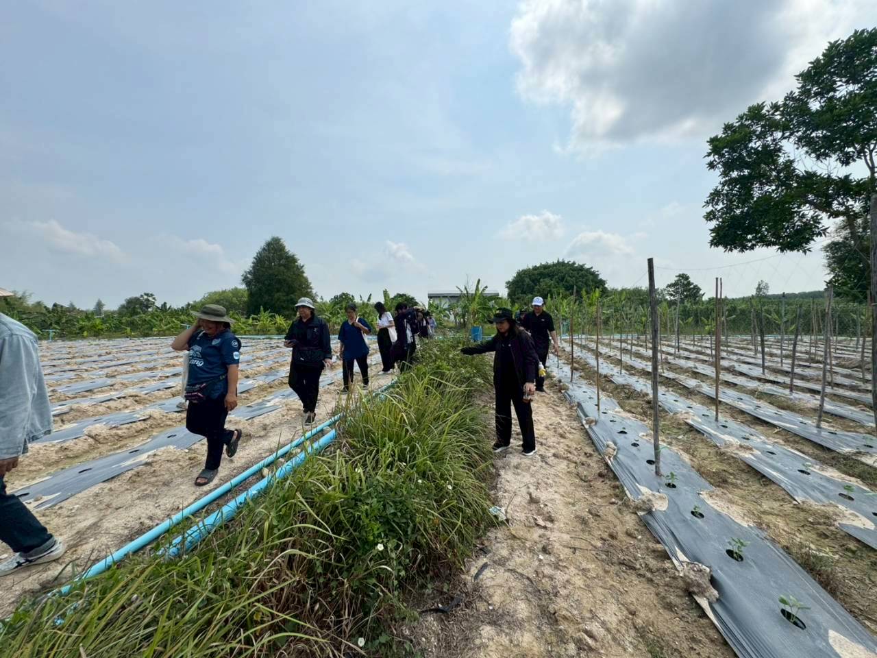 title - ส.ป.ก. ร่วมกับ TICA และ GIZ ลงพื้นที่โครงการนำร่องระบบสูบน้ำพลังงานแสงอาทิตย์เพื่อการเกษตรที่ยั่งยืนในเขตปฏิรูปที่ดิน ณ แปลงพื้นที่ คทช. จังหวัดชลบุรี